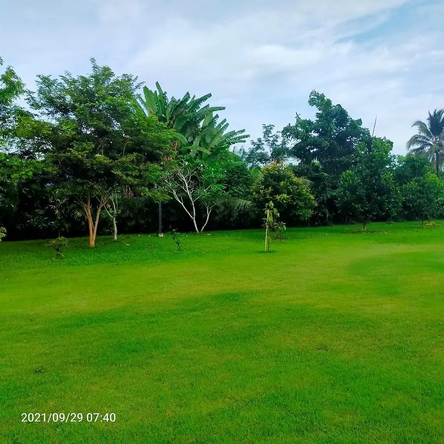 Farm stay Davy Cottage Phuket Ban Riang Thailand
