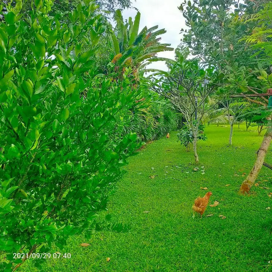 Farm stay Davy Cottage Phuket Ban Riang
