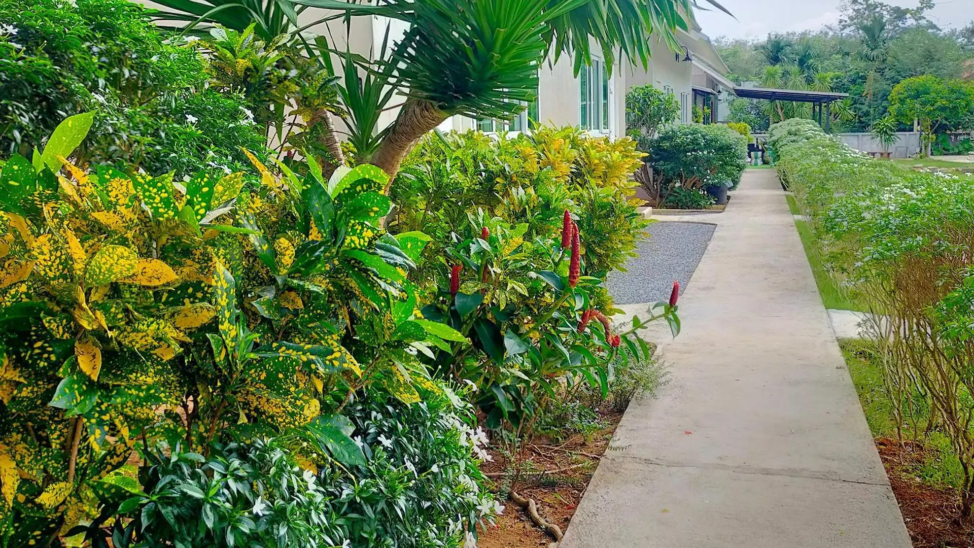 Davy Cottage Phuket Ban Riang Farm stay